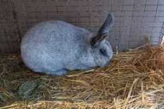 IMG-20251222-WA0090