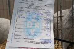 IMG-20251222-WA0091
