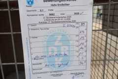IMG-20251222-WA0093