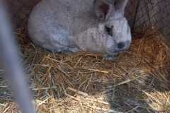 IMG-20251222-WA0095