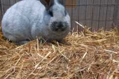 IMG-20251222-WA0096