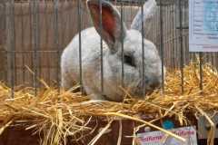 IMG-20251222-WA0098