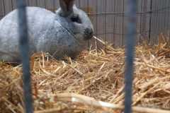 IMG-20251222-WA0099