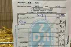 Messenger_creation_00B5D337-F6E9-4857-BC01-C99B786E3C69