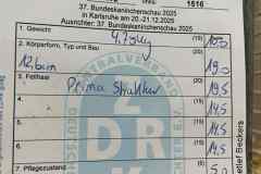 Messenger_creation_021EC42C-D447-4005-8EE8-73723BCEBA25