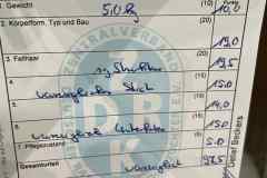 Messenger_creation_8F4AACA2-084E-4390-998F-F45C96E6E098