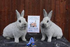 FB_IMG_1763577853456