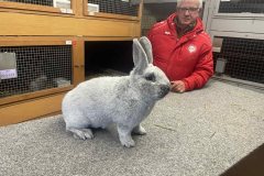 FB_IMG_1765964656378