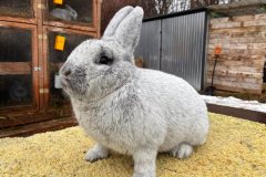 FB_IMG_1765964792251