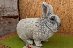 FB_IMG_1765964804457