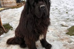 FB_IMG_1765964807141