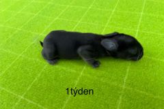 motion_photo_3061250965580015963