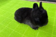 motion_photo_3932198556564937546