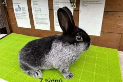 motion_photo_705062156295218128