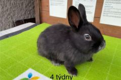 motion_photo_8136528871116908101